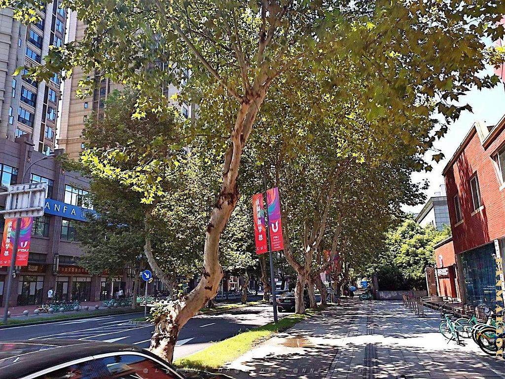 CHENGDU - Quartier Jianshe - Domicile Quentin - Aout 2023 -  28.jpg